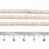 Natural Freshwater Shell Beads Strands SHEL-P017-01B-02-4