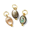 Natural Paua Shell Pendants PALLOY-JF05290-01-1