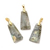 Natural Labradorite Pendants G-C045-01F-G-1