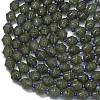 Natural Labradorite Beads Strands G-K389-D24-01-3