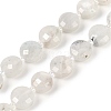 Natural Rainbow Moonstone Beads Strands G-B094-A06-01-2