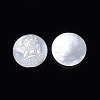 Natural White Shell Cabochons SSHEL-D083-07-2