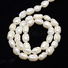 Natural Cultured Freshwater Pearl Beads Strands PEAR-L001-A-20-4