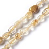 Natural Gold Rutilated Quartz Beads Strands G-L493-15-1