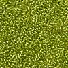 TOHO Round Seed Beads X-SEED-TR11-0024F-2