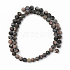 Natural Gemstone Beads Strands G-S369-009B-A-2