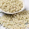 Glass Seed Beads SEED-K009-02B-08-1