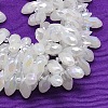 Electroplate Glass Beads Strands EGLA-A001-6x12mm-F08-1