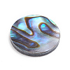 Natural Abalone Shell/Paua Shell Cabochons LS-SSHEL-L017-001-2