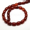 Natural Carnelian Column Beads Strands G-P063-67-3