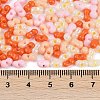 Glass Seed Beads SEED-K010-03N-4