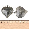 Natural Labradorite Pendants GG-K002-04U-3
