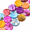 Natural Freshwater Shell Beads Strands SHEL-Q024-005-1