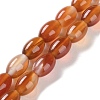 Natural Red Agate Beads Strands G-I369-B11-01-1