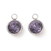 304 Stainless Steel Glass Rhinestone Charms STAS-E052-56A-1