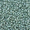 MIYUKI Delica Beads SEED-J020-DB2313-3