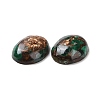 Natural Malachite Cabochons G-E464-42V-3