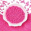 Baking Paint Glass Seed Beads SEED-T006-03Q-1