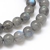 Natural Labradorite Round Bead Strands G-O087-05-6mm-2