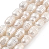 Natural Cultured Freshwater Pearl Beads Strands PEAR-P062-08A-2