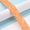 Natural Trochus Shell Beads Strands SSHEL-H070-02D-2