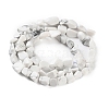 Natural Howlite Beads Strands G-P497-01C-64-3