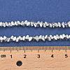 Electroplate Glass Beads Strands X-EGLA-D030-16A-06-4