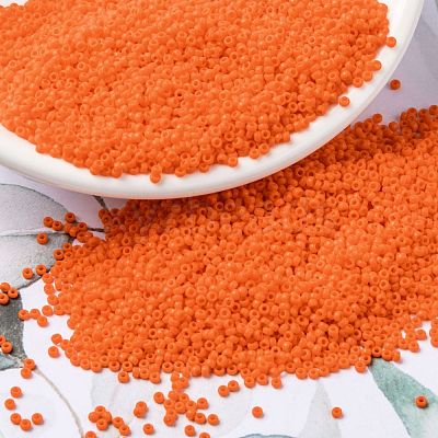MIYUKI Round Rocailles Beads X-SEED-G009-RR0406-1