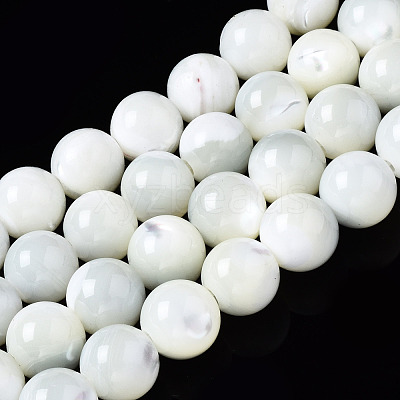 Natural Trochid Shell/Trochus Shell Beads Strands SSHEL-S266-023A-03-1