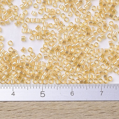 MIYUKI Delica Beads SEED-X0054-DB0100-1