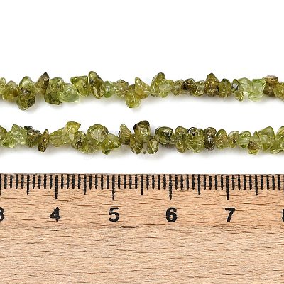 Natural Peridot Beads Strands G-P332-48-02-1