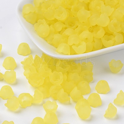 Transparent Acrylic Beads Caps X-PL543-2-1