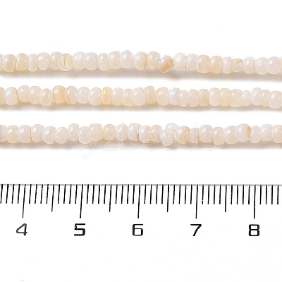Natural Freshwater Shell Beads Strands SHEL-P017-01B-02-1