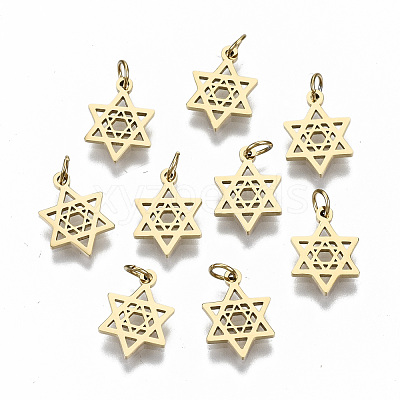 304 Stainless Steel Pendants STAS-S116-046G-1