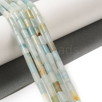 Natural Flower Amazonite Beads Strands G-B091-A08-01-1