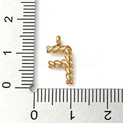 316 Surgical Stainless Steel Pendants & Charms LS-STAS-D031-01F-1