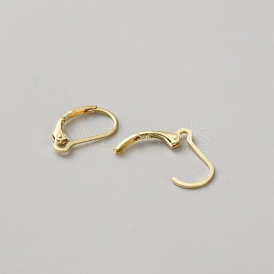 Brass Hoop Earring Findings DIY-WH0888-510G-1