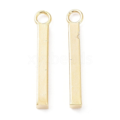 304 Stainless Steel Pendants STAS-P327-09A-G-1