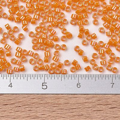 MIYUKI Delica Beads X-SEED-J020-DB1573-1