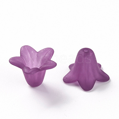 Transparent Acrylic Beads PLF018-16-1