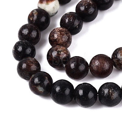 Natural Biotite Beads Strands G-Q616-01C-1