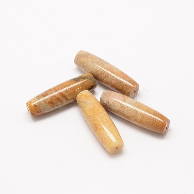 Natural Fossil Coral Beads G-P076-30-1