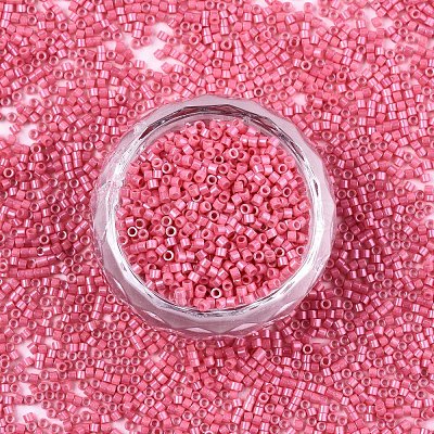 FGB 11/0 Grade A Baking Paint Glass Seed Beads X-SEED-S030-1034-1