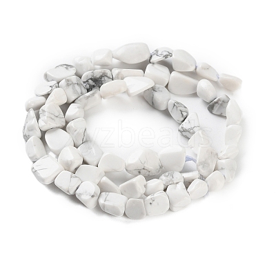 Natural Howlite Beads Strands G-P497-01C-64-1