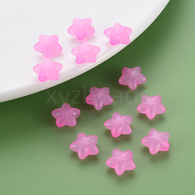 Transparent Acrylic Beads LS-MACR-S373-26E-10-1