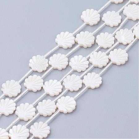 Natural White Shell Beads SSHEL-Q298-06-1