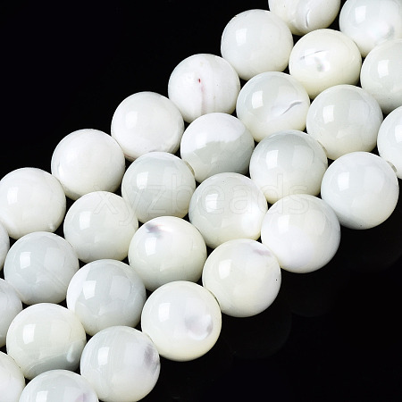 Natural Trochid Shell/Trochus Shell Beads Strands SSHEL-S266-023A-03-1