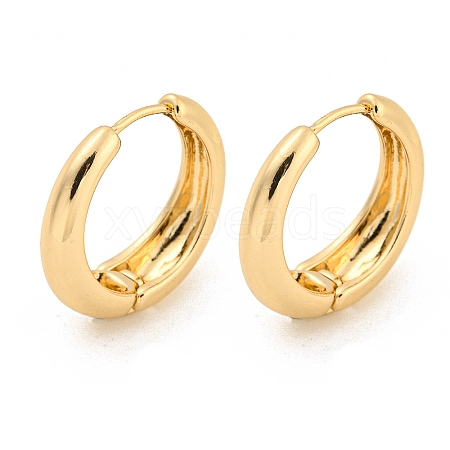 Alloy Hoop Earring EJEW-P269-16KCG-1