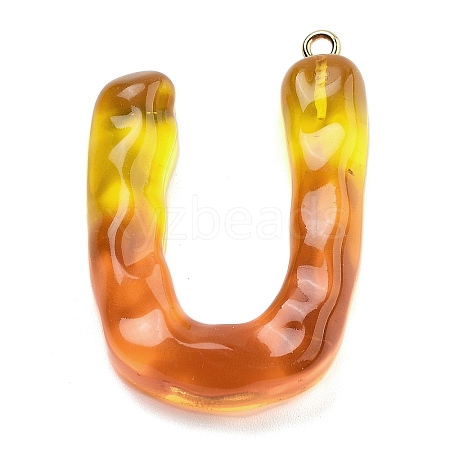 Resin Pendant FIND-Q107-01U-01-1