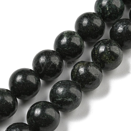 Natural Serpentine Beads Strands G-P504-10mm-01-1